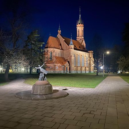 Cozy Center Apartment In Друскининкай Экстерьер фото